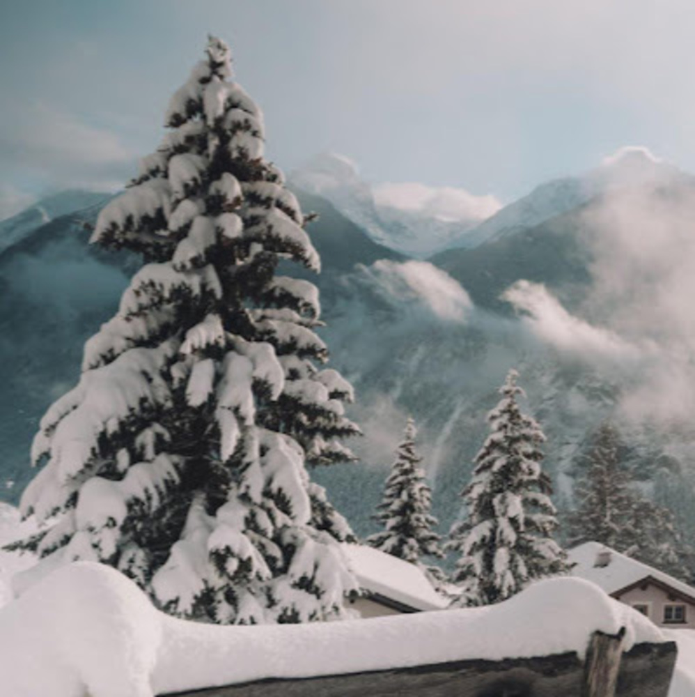 Meet your Posher, Taha